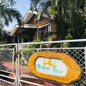 Pensión Acacias Tree, San Andrés